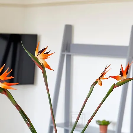 Redcliffe Parade No11 I Centre Διαμέρισμα Μπρίστολ