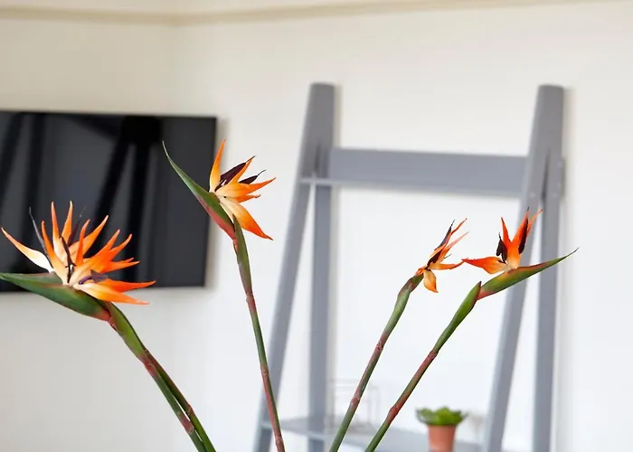 Redcliffe Parade No11 I Centre Apartament Bristol